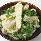 冷やしごぼう天うどん